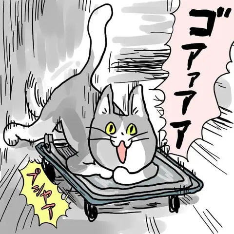 台車で爆走する現場猫